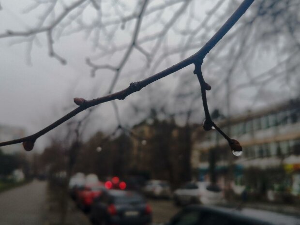 Погода в Украине, фото: Znaj.ua