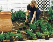 У Рівному поклали помідорний асфальт