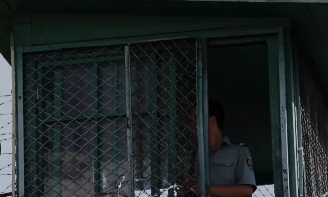 Тюрьмы, фото: кадр из видео