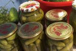 Маринуємо хрусткі корнішони за простим рецептом - і під картоплю, і під горілочку