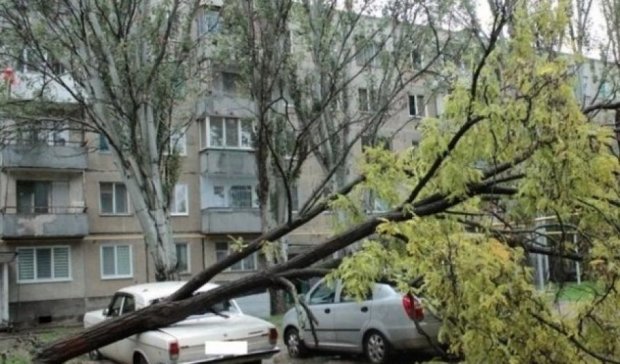 Киевлян предупредили о шквальном ветре