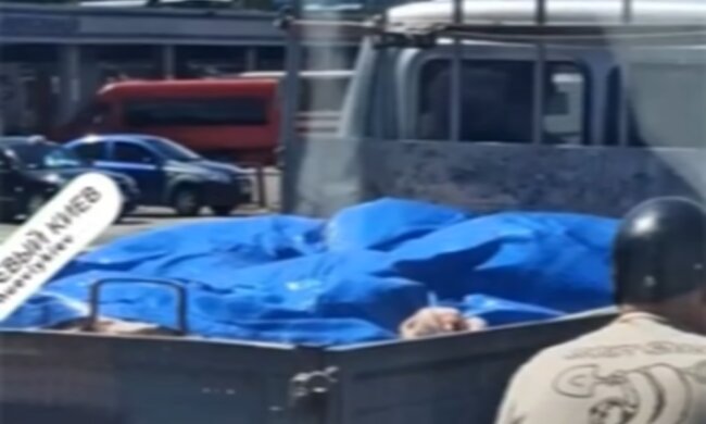 Транспортировка мяса, скриншот с видео