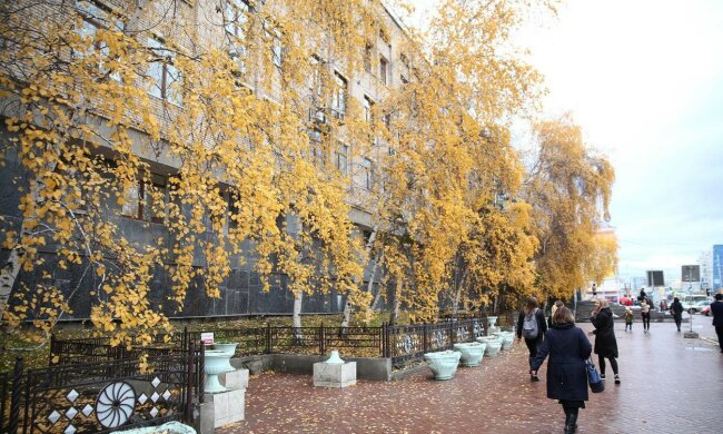 Спасут только чай и плед: какой будет погода в Днепре 23 октября