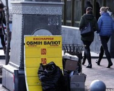 Стало відомо, кого озолотили "валютні гойдалки" в Україні