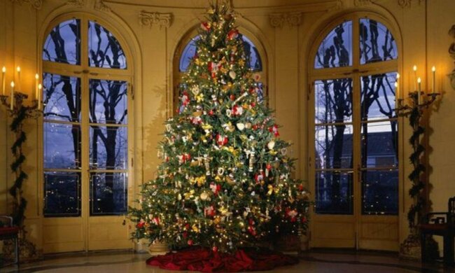 Кримчане в шоке от российских цен на елки