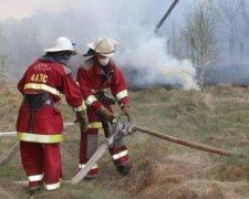 Пожежні приборкали масштабну пожежу під Чорнобилем
