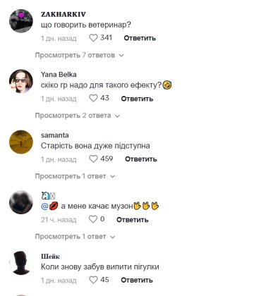 Коментарі до публікації, скріншот: TikTok