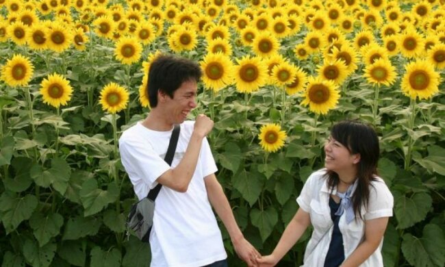 Стало известно, какие страны обожают украинские продукты