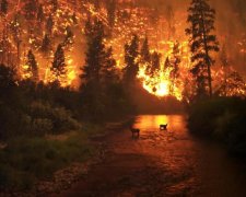 Украинцев предупредили о чрезвычайной пожарной опасности