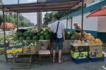 Арбузы и дыни, фото: 06452.com.ua
