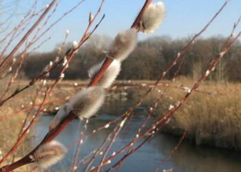 Погода в Україні, фото: Golos