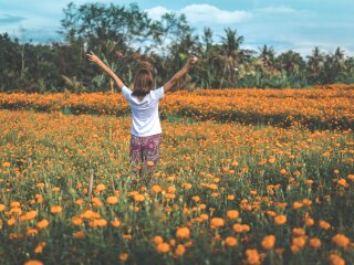 погода в Україні, фото pxhere