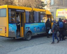У меня свои законы: маршрутчик с кулаками набросился на пенсионерку
