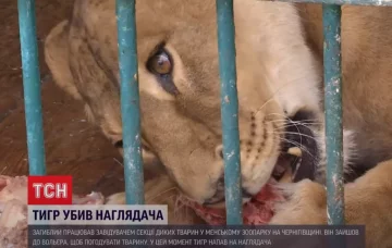 Скриншот відео ТСН