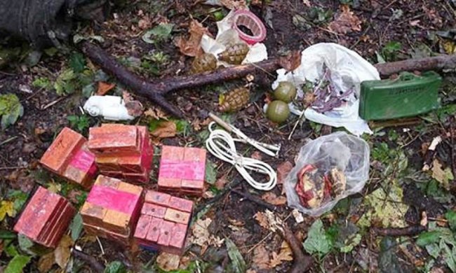 На Донеччині вибухівку сховали у дереві (фото)