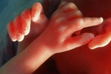 Украинские дети смогут иметь троих родителей