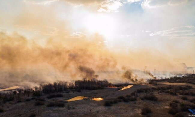 Пожежа у Чорнобилі, фото Facebook ДСНС