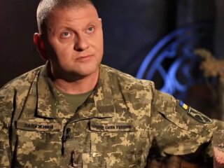 Валерій Залужний, фото: скріншот з відео