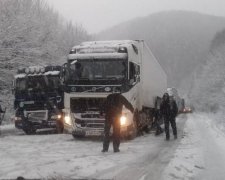 Не только потоп: украинский регион атакуют сразу две стихии
