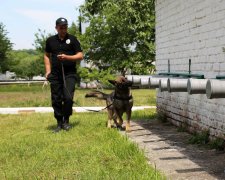 Підняли на вуха весь Київ: у мільйонному місті знайшли безвісти зниклу дитину, шанси були мізерні