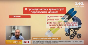 Перевозка в общественном транспорте, фото: скриншот из видео