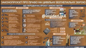 Скрін, інфографіка "Слово і діло"