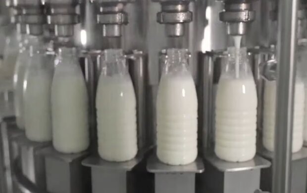 Виробництво молока, скріншот з відео