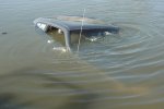В Волынской области затонул автомобиль