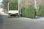 Ялинка 2021, фото: скріншот з відео