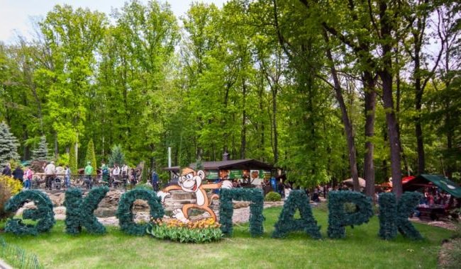 Спіймали у Харкові, вивезли до лісу: маленького соціофоба відправили до "родичів"
