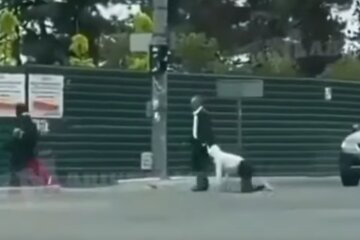 Человек на поводке, скрин с видео
