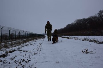 Овчарка-пограничник Лора, фото: facebook.com/DPSUkraine