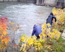 На Закарпатті річки перетворилися на зливні бачки, катастрофа на порозі: сморід і бруд