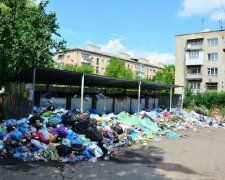 Вонь на всю Львовщину: город утопает в мусоре, коммунальный Апокалипсис показали одним фото