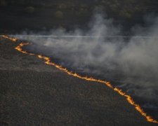 У "Чорнобильської пущі" знову спалахнула пожежа