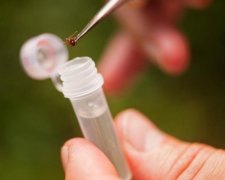 Будьте бдительны: страшная инфекция убивает украинцев