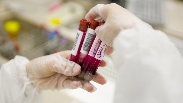 Краще за будь-який тест: учені змогли визначити характер людини за групою крові