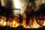 Не ображайте жінок: відчайдушна українка підпалила чорнобильський ліс, причина вражає