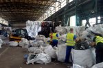 Черви помогут человечеству победить пластик