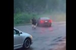 Водитель Мустанга, скриншот