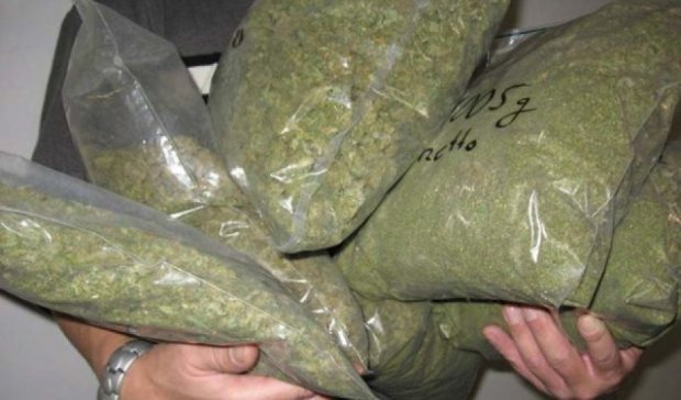 Несколько десятков тонн марихуаны конфисковали в Мексике