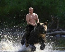 Путин на медведе рассорил олимпийского спортсмена с коллегами