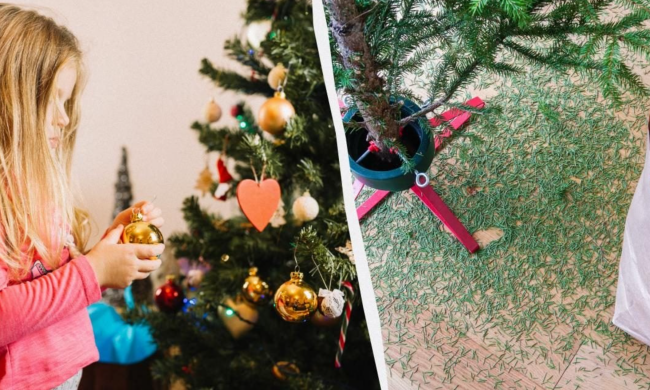 Уборка елки, изображения из соцсетей