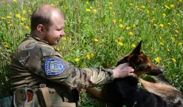 Военные спасли овчарку Алису, над которой издевались террористы (фото)