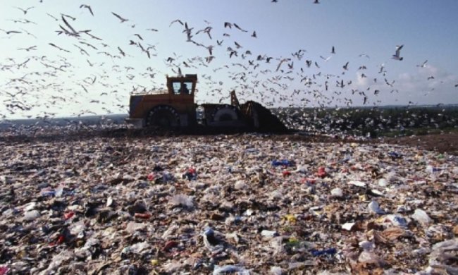 Екологи протестуватимуть проти сміттєвого полігону у Севастополі