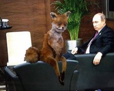 Сумний Путін і кішки на саміті в Туреччині підірвали інтернет (фото)