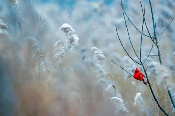 Погода в Украине, фото: Zik.ua