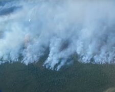 Пожежі в лісах росії, скріншот з відео