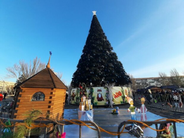 Запорожскую елку признали одной из самых красивых в Украине: "Знает, как выглядеть привлекательно"