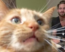 Австралієць зробив свого котика зіркою соцмереж